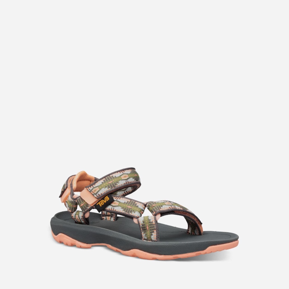 Kids' Teva Hurricane XLT2 Hiking Sandals Grey Orange | 085917WDE