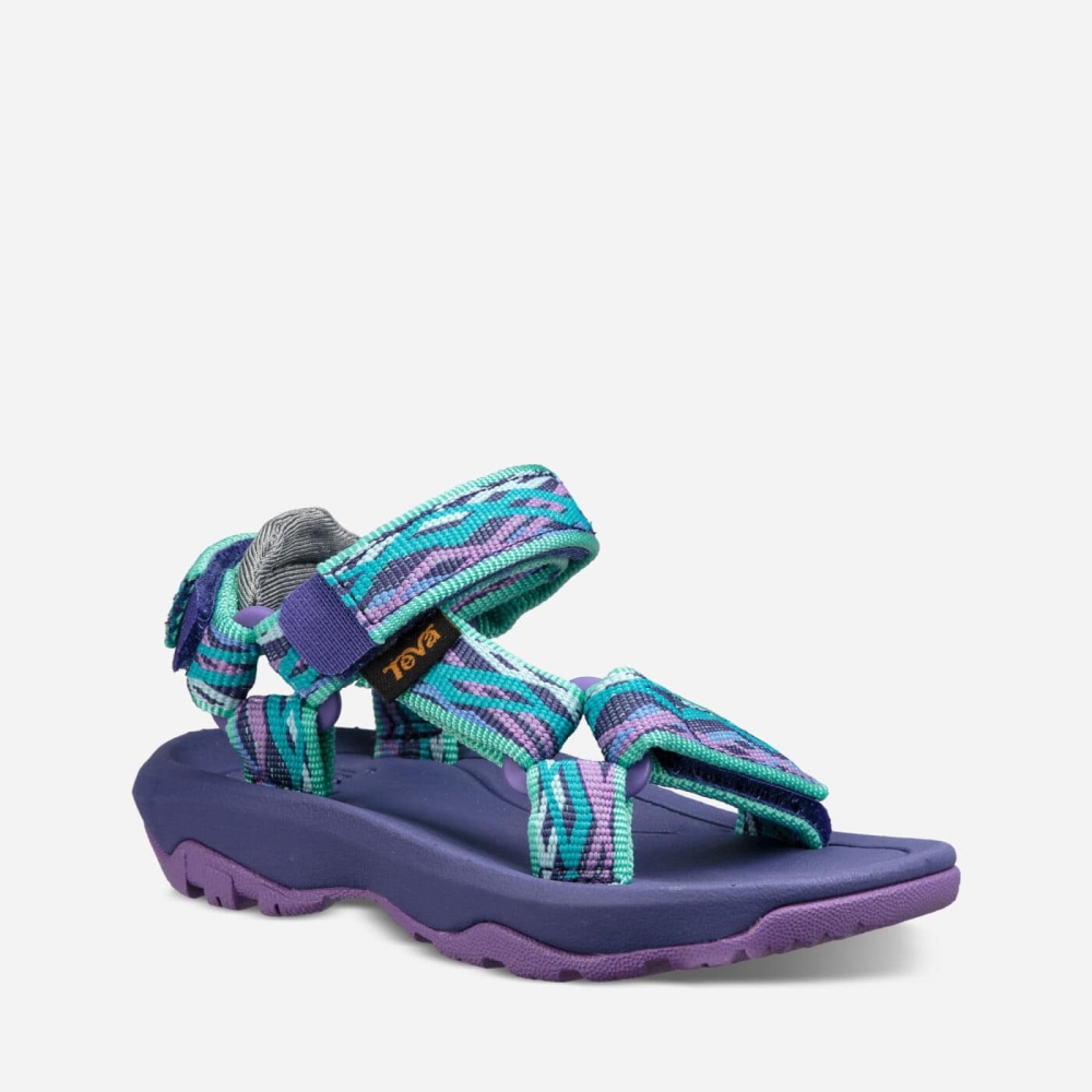 Kids' Teva Hurricane XLT2 Hiking Sandals Purple Green | 109536CKU