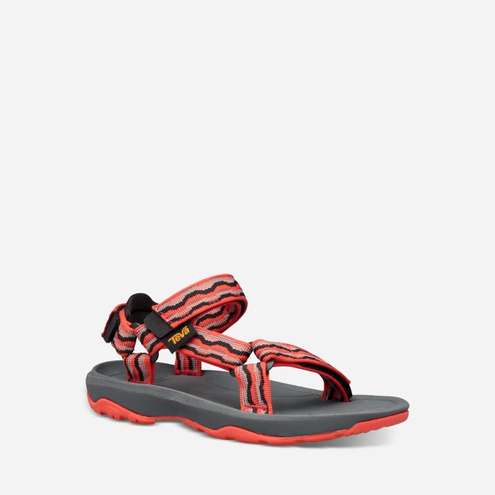 Kids' Teva Hurricane XLT2 Hiking Sandals Red | 470158NQU