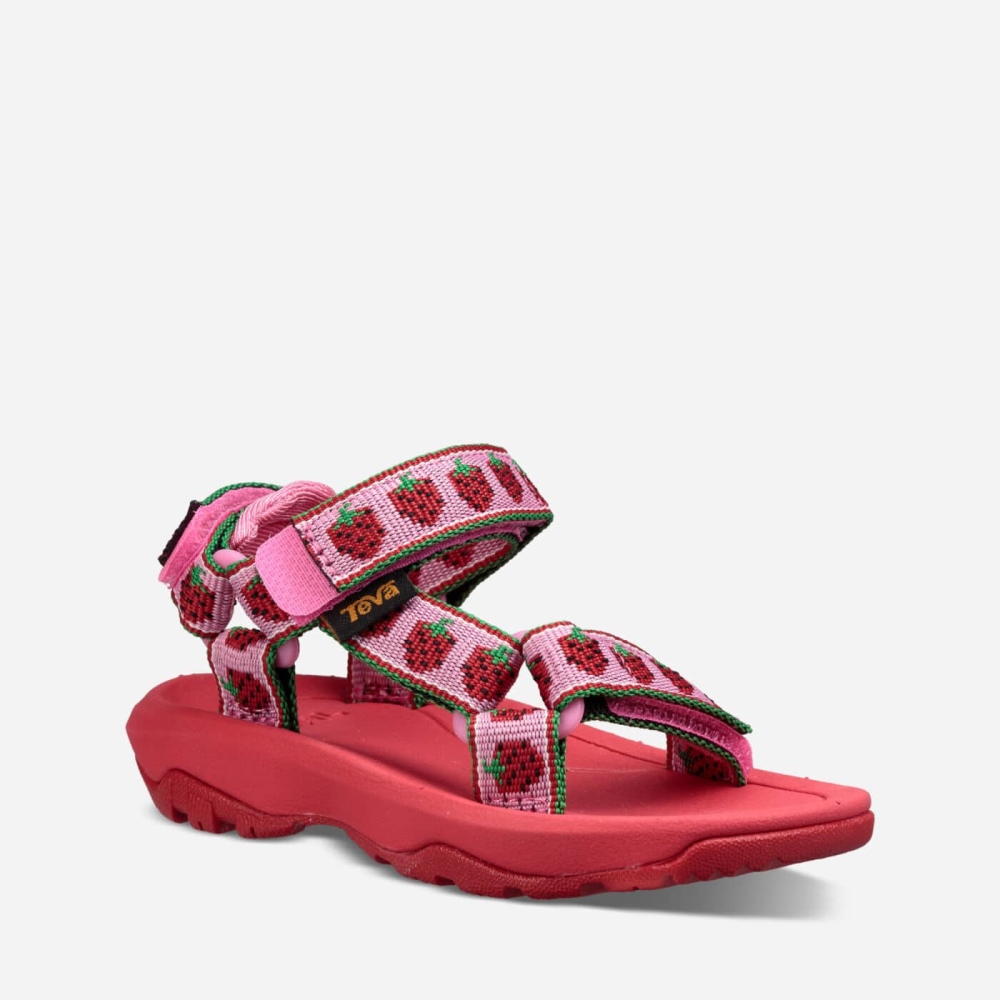 Kids' Teva Hurricane XLT2 Hiking Sandals Pink | 509627BSP