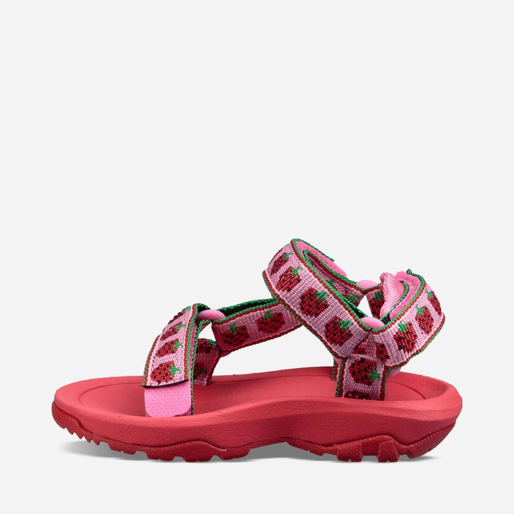 Kids' Teva Hurricane XLT2 Hiking Sandals Pink | 509627BSP