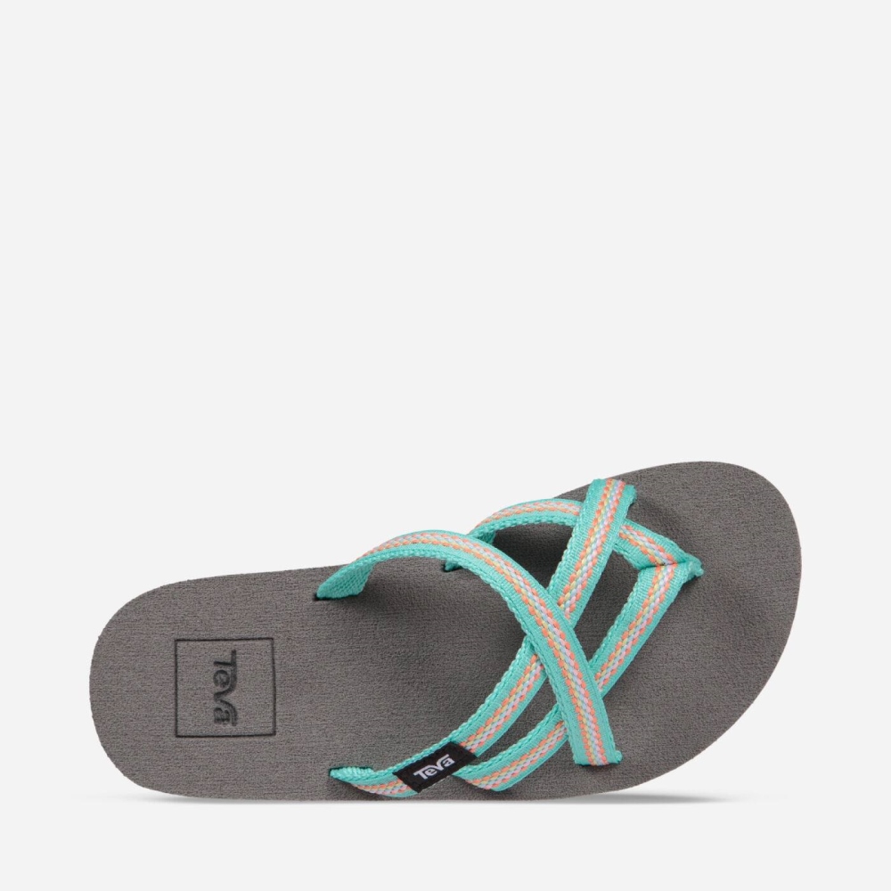 Kids' Teva Olowahu Flip Flops Turquoise | 984320JYM