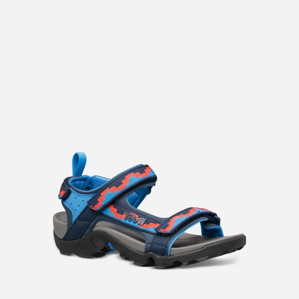 Kids' Teva Tanza Hiking Sandals Blue Red | 480297AXI