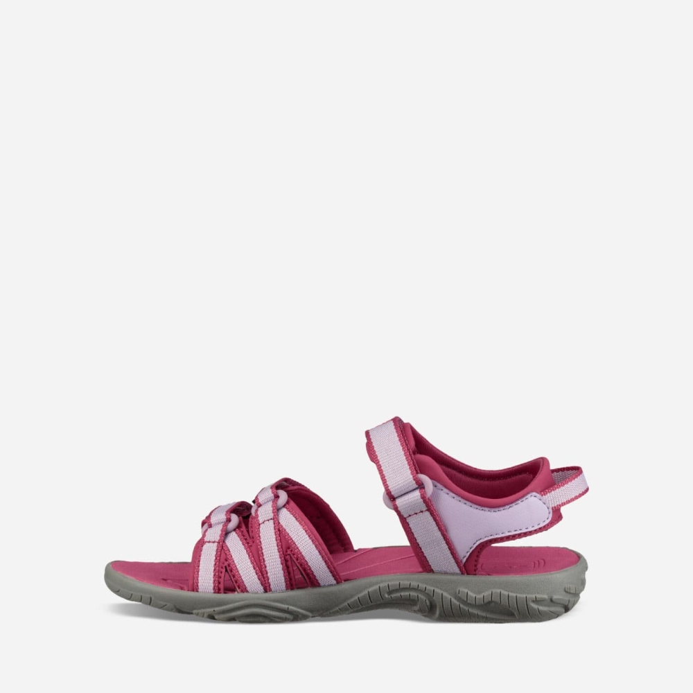 Kids' Teva Tirra Hiking Sandals Rose Purple | 376548EAZ