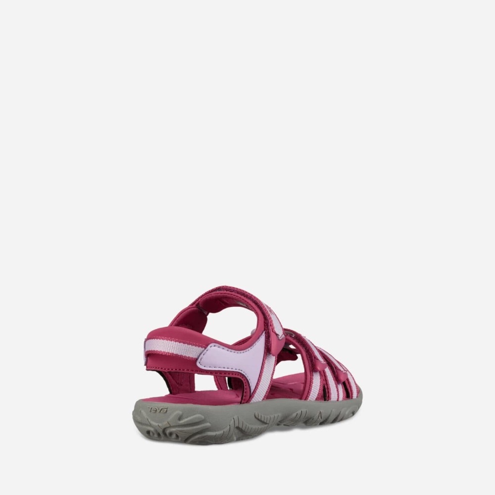 Kids' Teva Tirra Hiking Sandals Rose Purple | 376548EAZ