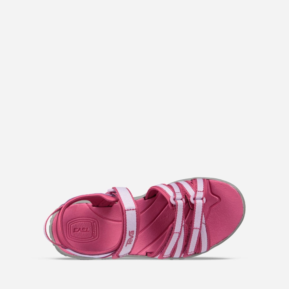 Kids' Teva Tirra Hiking Sandals Rose Purple | 376548EAZ