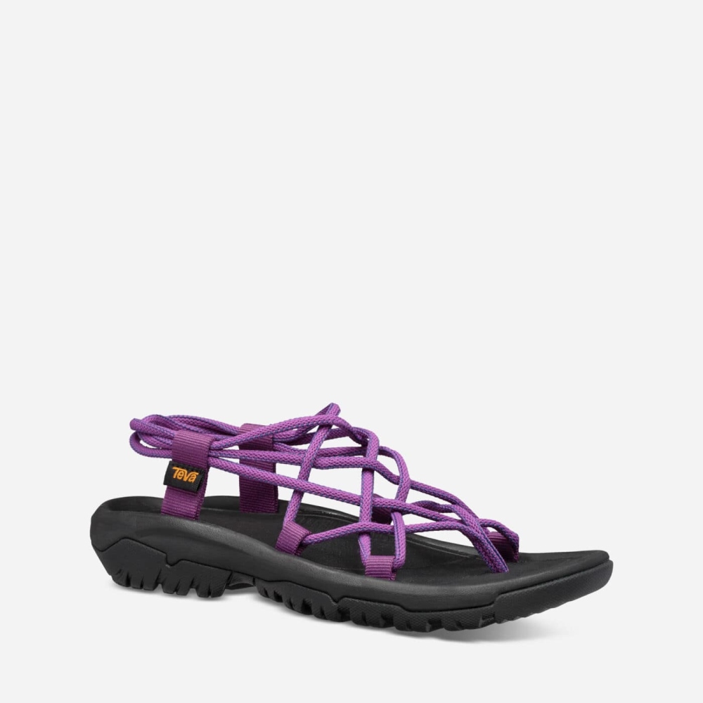 Women's Teva Hurricane XLT Infinity Hiking Sandals Purple | 579203LAU