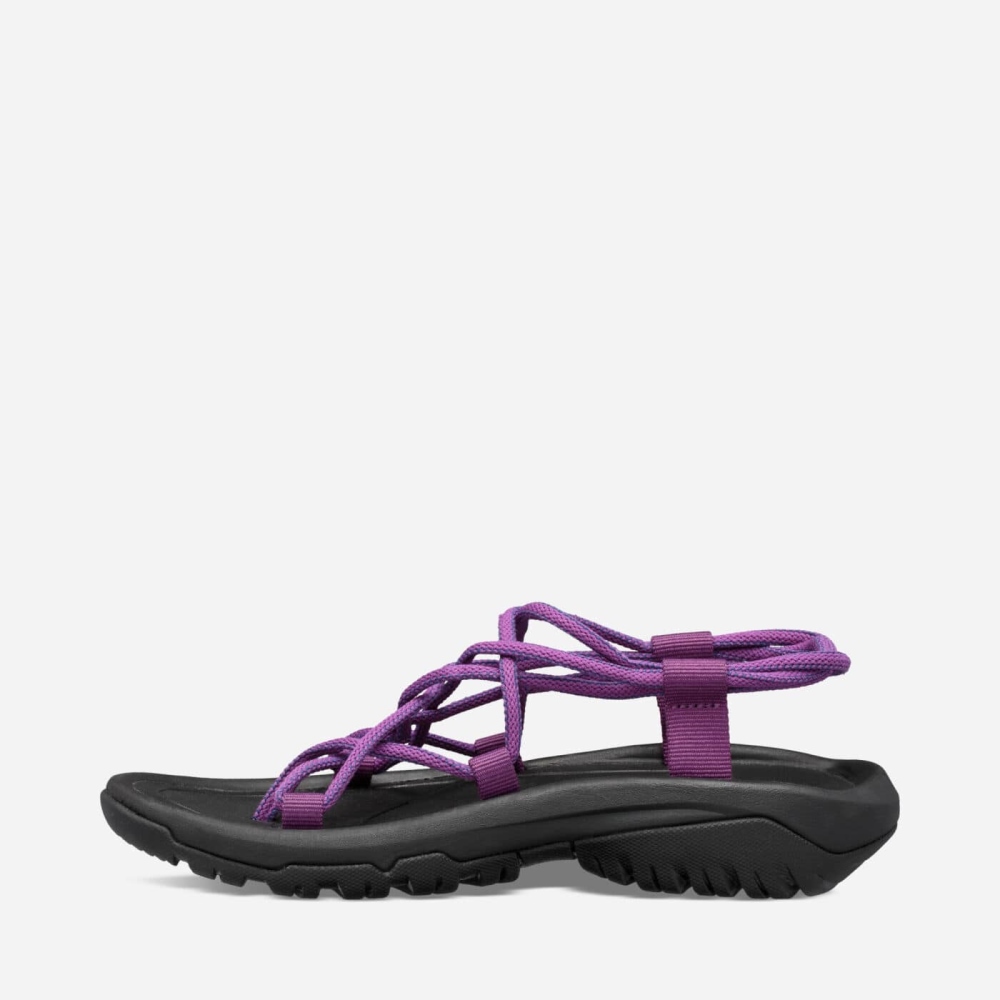 Women's Teva Hurricane XLT Infinity Hiking Sandals Purple | 579203LAU