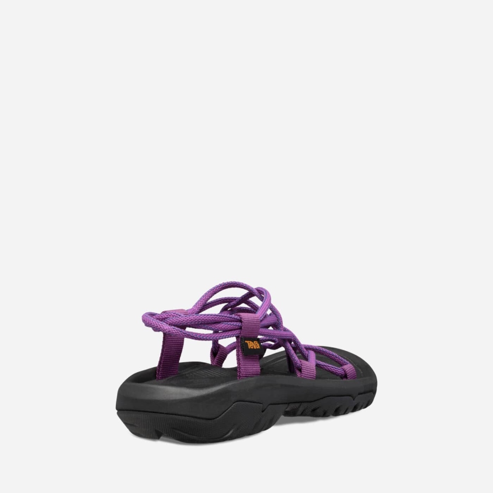 Women's Teva Hurricane XLT Infinity Hiking Sandals Purple | 579203LAU