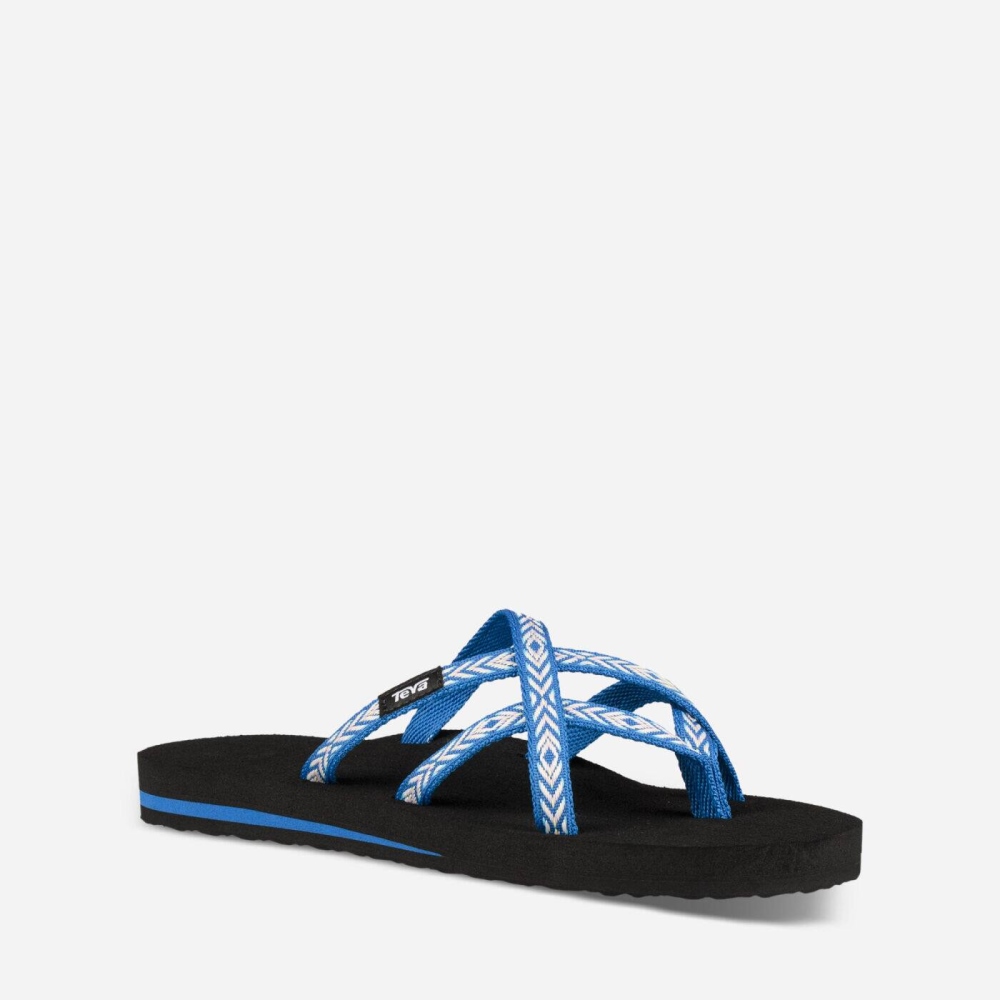 Women's Teva Olowahu Flip Flops Blue | 695183ZAV