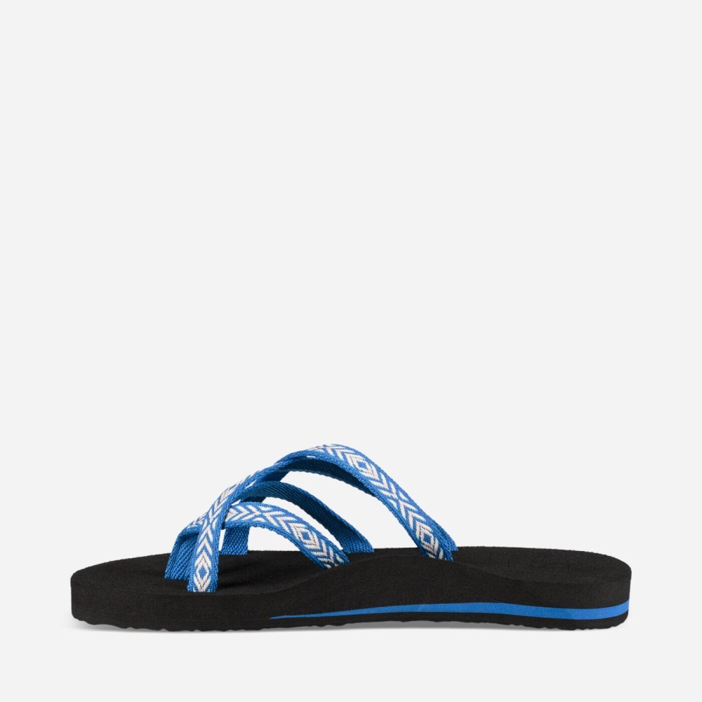 Women's Teva Olowahu Flip Flops Blue | 695183ZAV