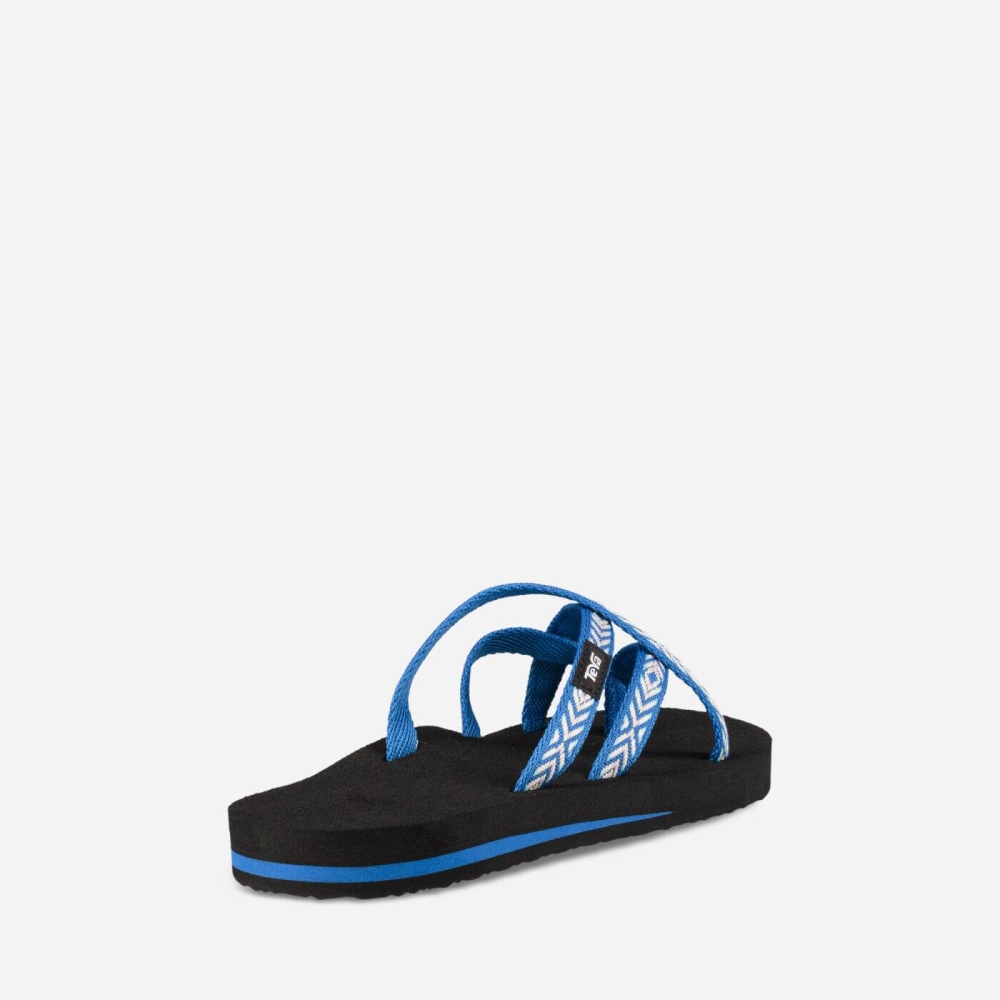 Women's Teva Olowahu Flip Flops Blue | 695183ZAV