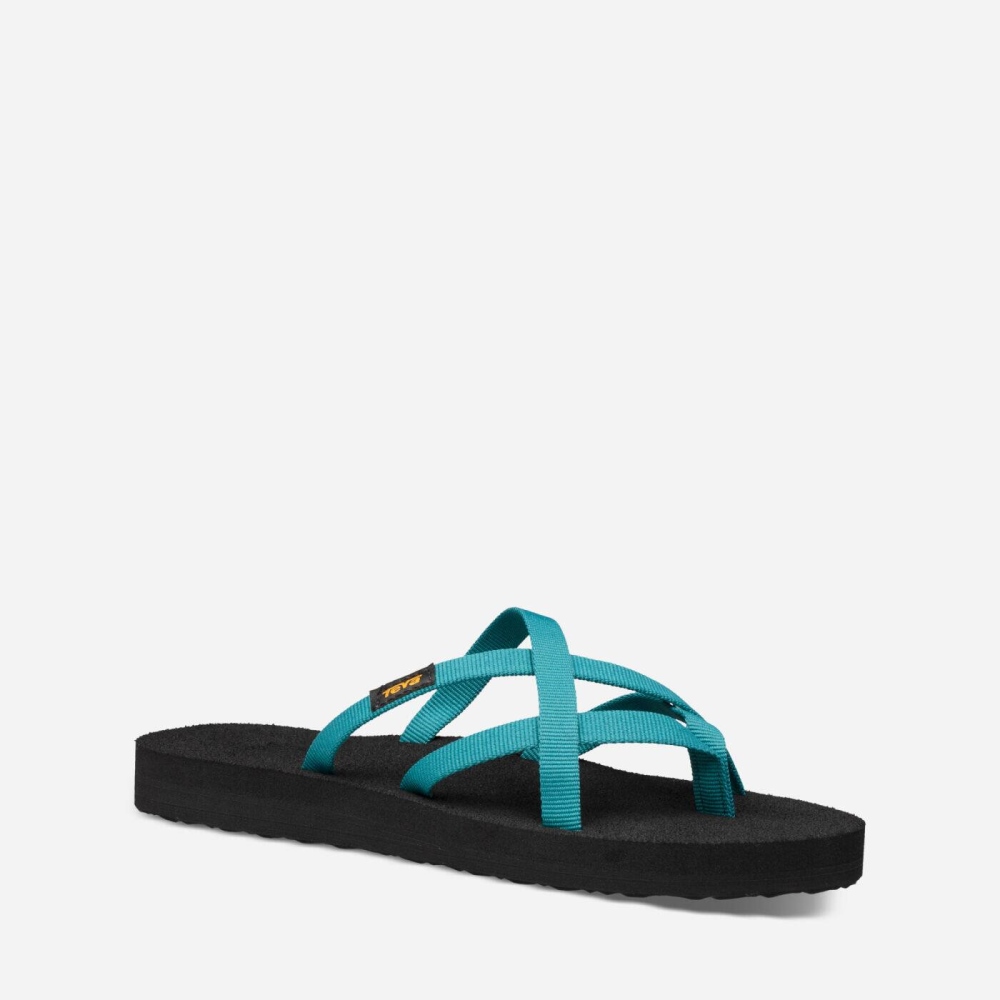 Women's Teva Olowahu Flip Flops Blue | 760982BTO