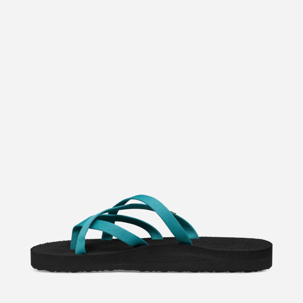 Women's Teva Olowahu Flip Flops Blue | 760982BTO