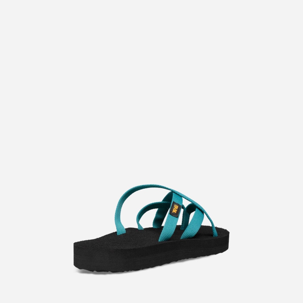 Women's Teva Olowahu Flip Flops Blue | 760982BTO