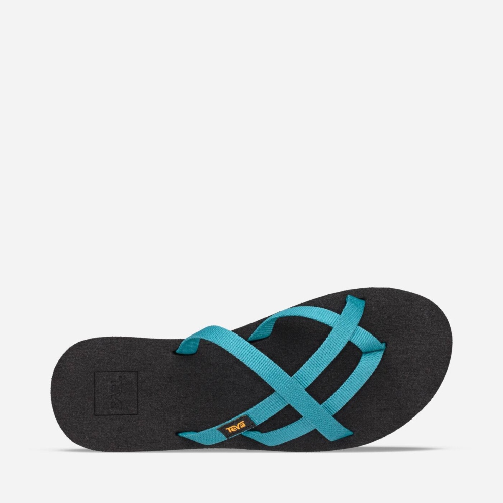 Women's Teva Olowahu Flip Flops Blue | 760982BTO