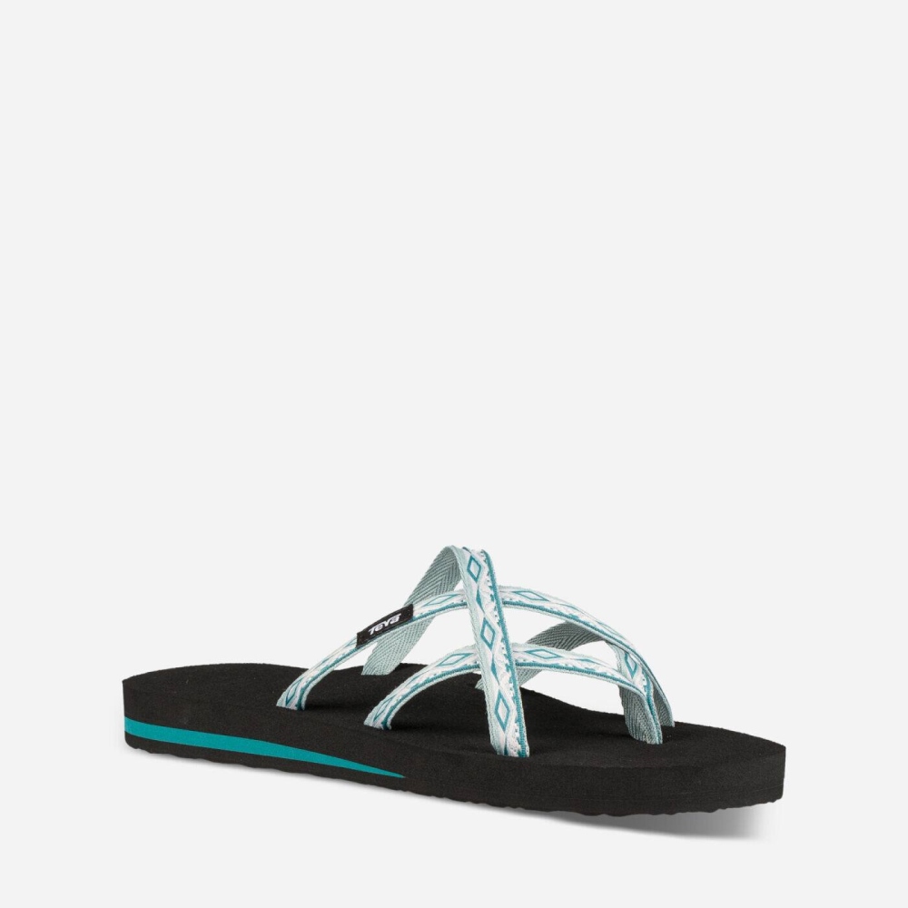 Women's Teva Olowahu Flip Flops Grey | 271904GBK