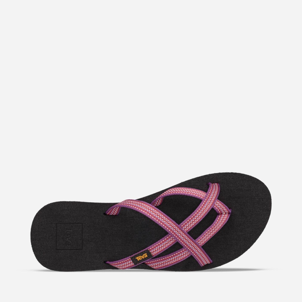 Women's Teva Olowahu Flip Flops Pink | 071483RFM