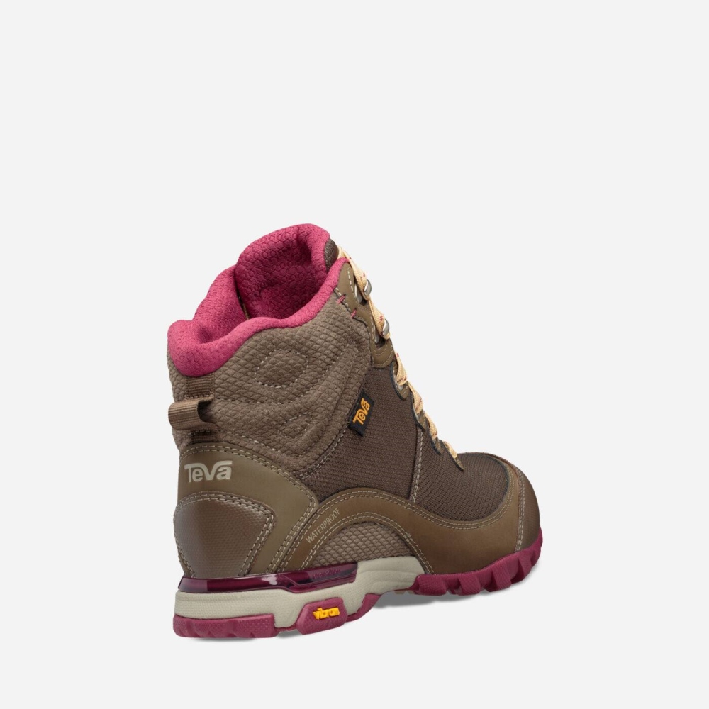 Women's Teva Sugarpine Mid WP Boots Chocolate | 514872HCA