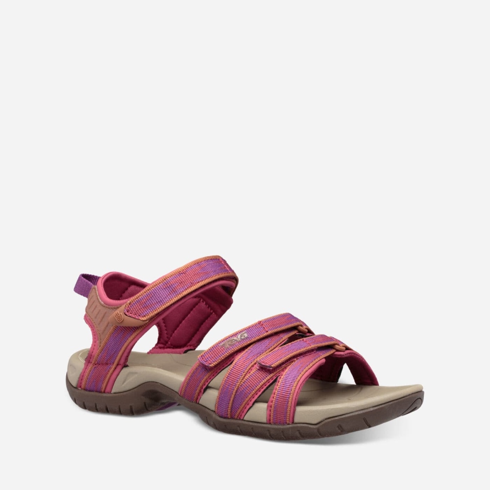 Women's Teva Tirra Hiking Sandals Pink | 564832DMW