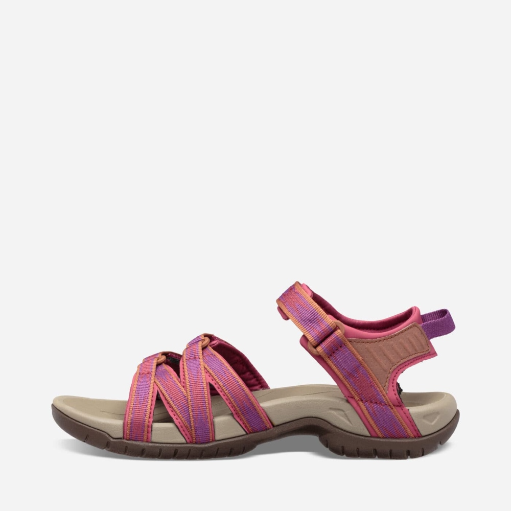 Women's Teva Tirra Hiking Sandals Pink | 564832DMW