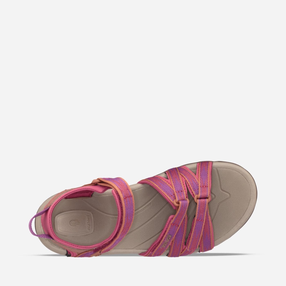 Women's Teva Tirra Hiking Sandals Pink | 564832DMW