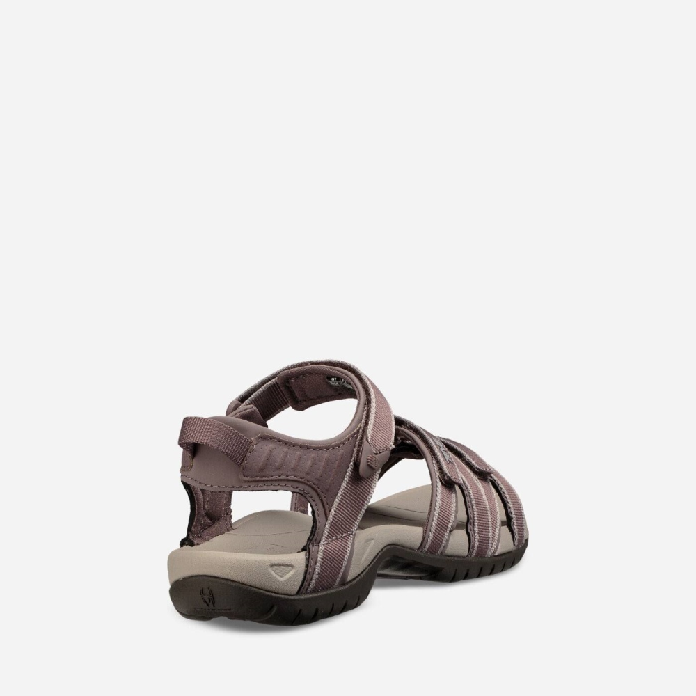 Women's Teva Tirra Hiking Sandals Purple | 216794QPK