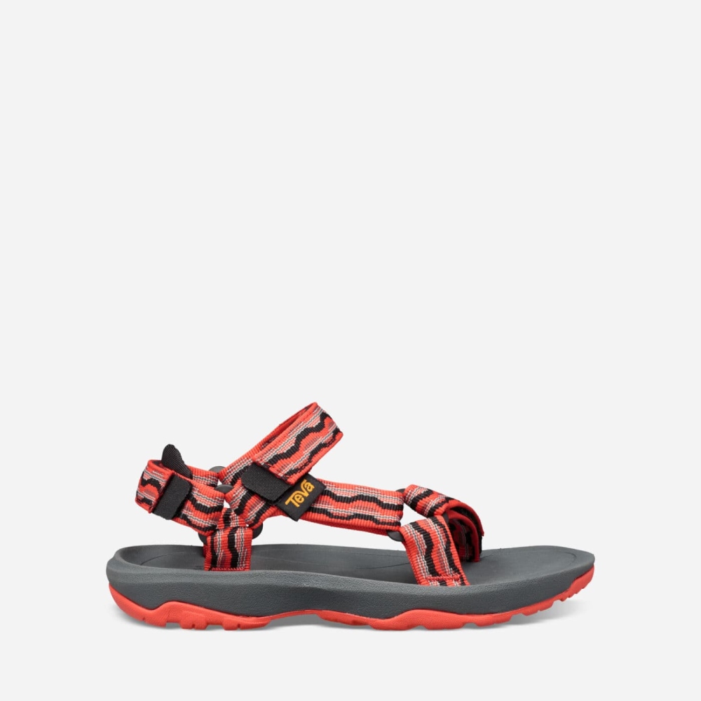 Kids' Teva Hurricane XLT2 Hiking Sandals Red | 470158NQU