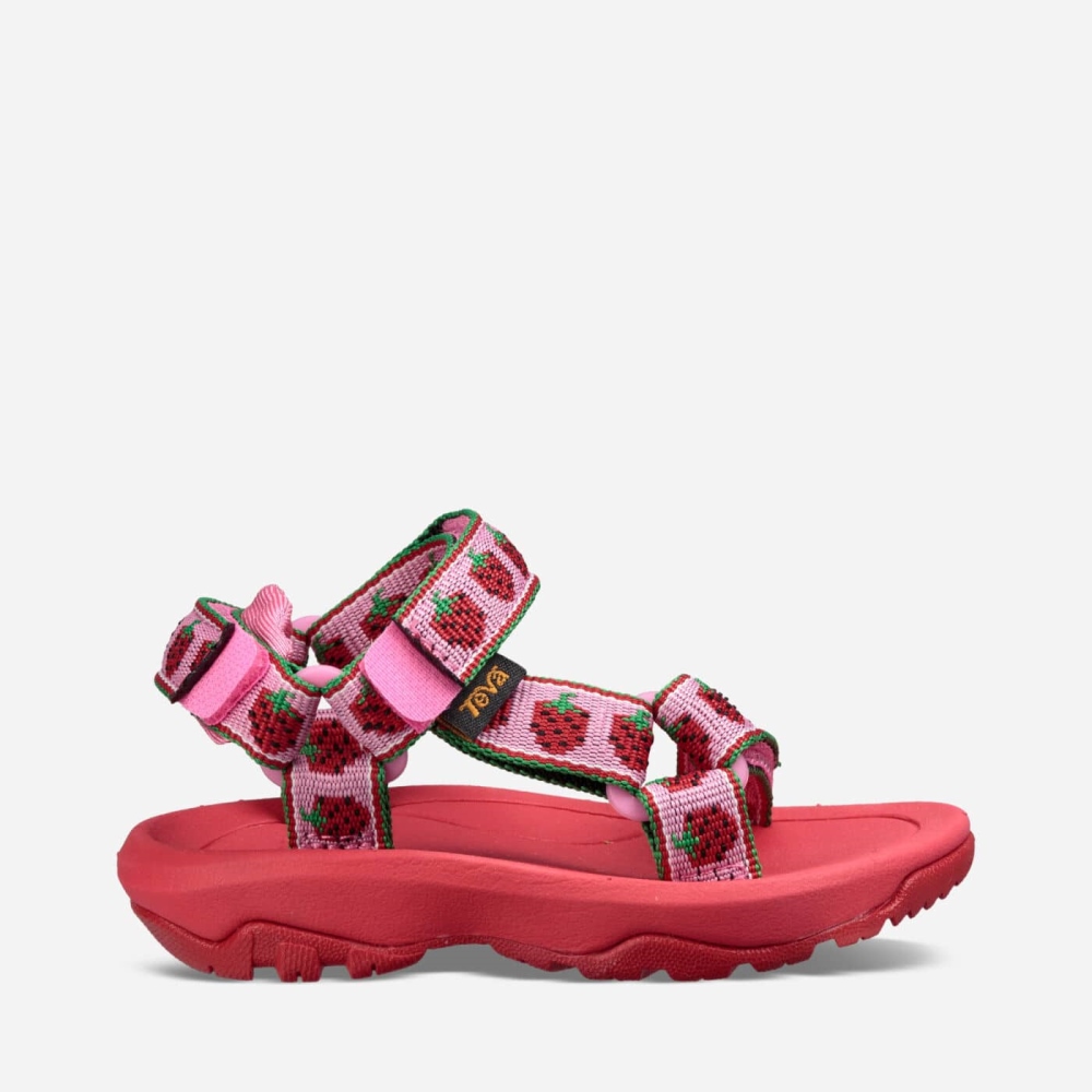 Kids' Teva Hurricane XLT2 Hiking Sandals Pink | 509627BSP