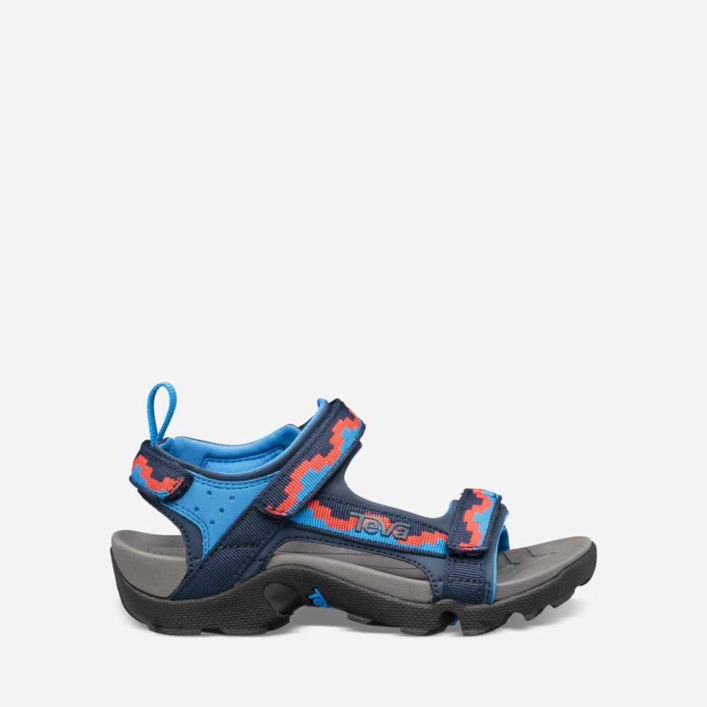 Kids' Teva Tanza Hiking Sandals Blue Red | 480297AXI