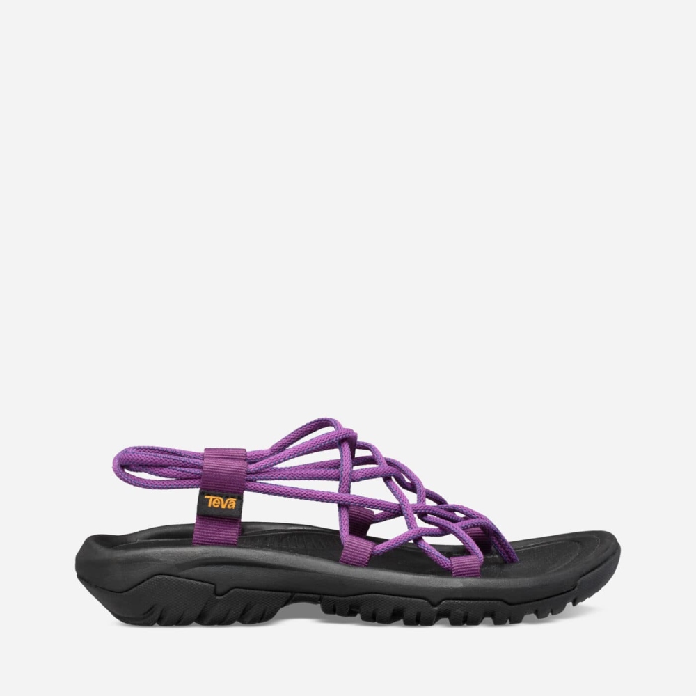 Women's Teva Hurricane XLT Infinity Hiking Sandals Purple | 579203LAU