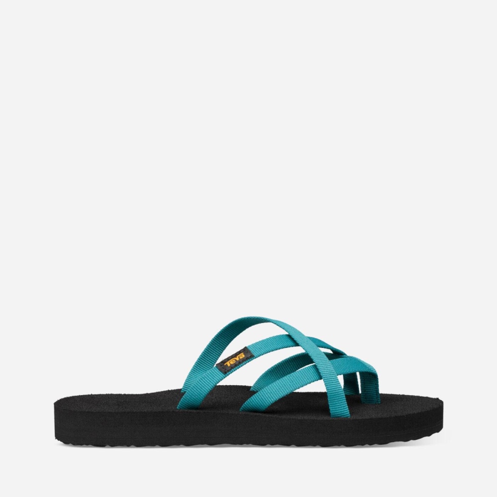 Women's Teva Olowahu Flip Flops Blue | 760982BTO